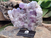 Natural Jacaranda Amethyst Quartz Cluster x 1 From Mumbwa, Zambia - Toprock Gemstones and Minerals