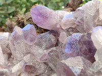 Natural Jacaranda Amethyst Quartz Cluster x 1 From Mumbwa, Zambia - Toprock Gemstones and Minerals