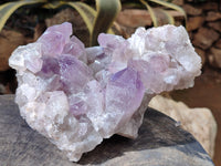Natural Jacaranda Amethyst Quartz Cluster x 1 From Mumbwa, Zambia - Toprock Gemstones and Minerals