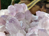 Natural Jacaranda Amethyst Quartz Cluster x 1 From Mumbwa, Zambia - Toprock Gemstones and Minerals