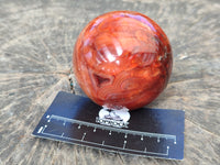 Polished Carnelian Agate Spheres x 3 From Madagascar - Toprock Gemstones and Minerals