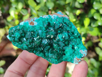 Natural Dioptase on Dolomite Matrix Specimens x 6 From Likasi, Congo - Toprock Gemstones and Minerals
