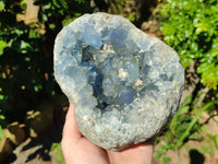 Natural Celestite Geode Specimens x 1 From Sakoany, Madagascar - Toprock Gemstones and Minerals