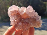 Natural Ametrine Cactus Spirit Quartz Clusters x 5 From South Africa - Toprock Gemstones and Minerals