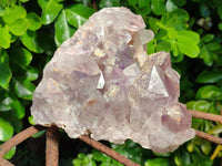 Natural Jacaranda Amethyst Quartz Cluster x 1 From Mumbwa, Zambia - Toprock Gemstones and Minerals