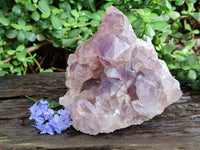 Natural Jacaranda Amethyst Quartz Cluster x 1 From Mumbwa, Zambia - Toprock Gemstones and Minerals