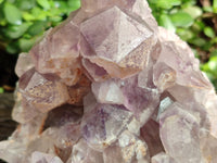 Natural Jacaranda Amethyst Quartz Cluster x 1 From Mumbwa, Zambia - Toprock Gemstones and Minerals