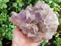 Natural Jacaranda Amethyst Quartz Cluster x 1 From Mumbwa, Zambia - Toprock Gemstones and Minerals
