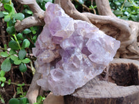 Natural Jacaranda Amethyst Quartz Cluster x 1 From Mumbwa, Zambia - Toprock Gemstones and Minerals