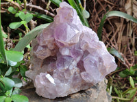 Natural Jacaranda Amethyst Quartz Cluster x 1 From Mumbwa, Zambia - Toprock Gemstones and Minerals