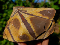Natural Nguni Jasper Cobbed Specimens x 12 From Prieska, South Africa - Toprock Gemstones and Minerals