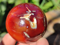 Polished Carnelian Agate Spheres x 6 From Madagascar - Toprock Gemstones and Minerals