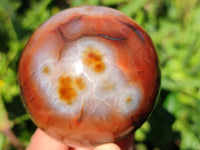 Polished Carnelian Agate Spheres x 6 From Madagascar - Toprock Gemstones and Minerals
