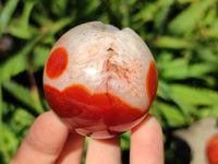 Polished Carnelian Agate Spheres x 6 From Madagascar - Toprock Gemstones and Minerals