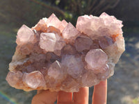 Natural Cactus Flower Ametrine Spirit Quartz Clusters x 2 From South Africa - Toprock Gemstones and Minerals