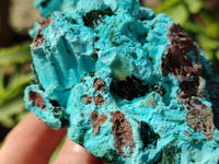 Natural Drusy Coated Chrysocolla with Malachite x 2 From Lupoto Mine, Congo - Toprock Gemstones and Minerals