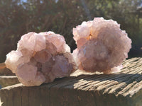 Natural Cactus Flower Sunburst Spirit Amethyst Clusters x 3 From South Africa - Toprock Gemstones and Minerals
