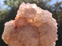 Natural Cactus Flower Sunburst Spirit Amethyst Clusters x 3 From South Africa - Toprock Gemstones and Minerals