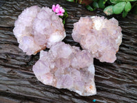 Natural Cactus Flower Sunburst Spirit Amethyst Clusters x 3 From South Africa - Toprock Gemstones and Minerals