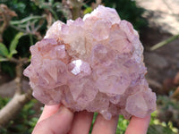 Natural Cactus Flower Sunburst Spirit Amethyst Clusters x 3 From South Africa - Toprock Gemstones and Minerals