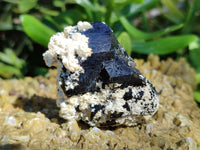 Natural Schorl Black Tourmaline with Smokey Quartz x 12 From Erongo, Namibia - Toprock Gemstones and Minerals