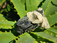 Natural Schorl Black Tourmaline with Smokey Quartz x 12 From Erongo, Namibia - Toprock Gemstones and Minerals