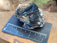 Natural Schorl Black Tourmaline with Smokey Quartz x 12 From Erongo, Namibia - Toprock Gemstones and Minerals