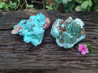 Natural Drusy Coated Chrysocolla with Malachite x 2 From Lupoto Mine, Congo - Toprock Gemstones and Minerals