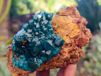 Natural Dioptase On Dolomite Specimens x 3 From Likasi, Congo - Toprock Gemstones and Minerals