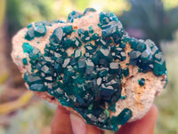 Natural Dioptase On Dolomite Specimens x 3 From Likasi, Congo - Toprock Gemstones and Minerals