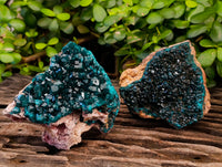 Natural Dioptase On Dolomite Specimens x 3 From Likasi, Congo - Toprock Gemstones and Minerals