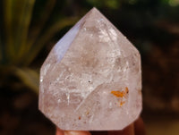 Polished Mix of Selected Points x 6 From Madagascar - Toprock Gemstones and Minerals