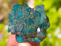 Natural Dioptase On Dolomite Specimens x 12 From Likasi, Congo - Toprock Gemstones and Minerals