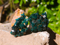 Natural Dioptase On Dolomite Specimens x 12 From Likasi, Congo - Toprock Gemstones and Minerals