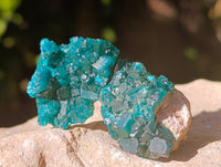 Natural Dioptase On Dolomite Specimens x 12 From Likasi, Congo - Toprock Gemstones and Minerals