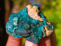 Natural Dioptase On Dolomite Specimens x 12 From Likasi, Congo - Toprock Gemstones and Minerals
