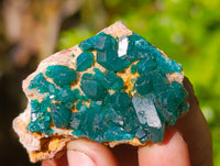 Natural Dioptase On Dolomite Specimens x 12 From Likasi, Congo - Toprock Gemstones and Minerals