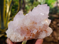 Natural Cactus Flower Amethyst Spirit Quartz Clusters x 4 From South Africa - Toprock Gemstones and Minerals