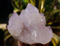 Natural Cactus Flower Amethyst Spirit Quartz Clusters x 4 From South Africa - Toprock Gemstones and Minerals