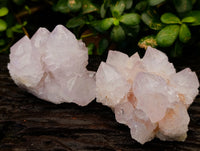Natural Cactus Flower Amethyst Spirit Quartz Clusters x 4 From South Africa - Toprock Gemstones and Minerals