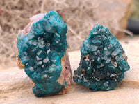 Natural Dioptase On Dolomite Specimens x 12 From Likasi, Congo - Toprock Gemstones and Minerals