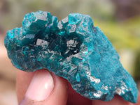 Natural Dioptase On Dolomite Specimens x 12 From Likasi, Congo - Toprock Gemstones and Minerals