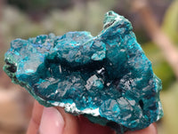 Natural Dioptase On Dolomite Specimens x 12 From Likasi, Congo - Toprock Gemstones and Minerals