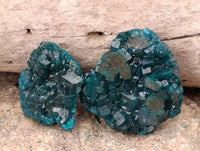 Natural Dioptase On Dolomite Specimens x 12 From Likasi, Congo - Toprock Gemstones and Minerals