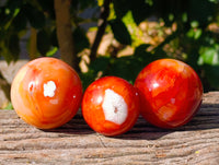 Polished Carnelian Agate Spheres x 6 From Madagascar - Toprock Gemstones and Minerals
