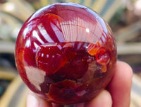 Polished Carnelian Agate Spheres x 6 From Madagascar - Toprock Gemstones and Minerals