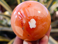 Polished Carnelian Agate Spheres x 6 From Madagascar - Toprock Gemstones and Minerals