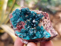 Natural Dioptase On Dolomite Specimens x 6 From Likasi, Congo - Toprock Gemstones and Minerals