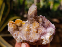 Natural Ametrine and Amethyst Spirit Quartz Clusters x 6 From South Africa - Toprock Gemstones and Minerals