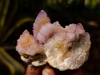 Natural Ametrine and Amethyst Spirit Quartz Clusters x 6 From South Africa - Toprock Gemstones and Minerals